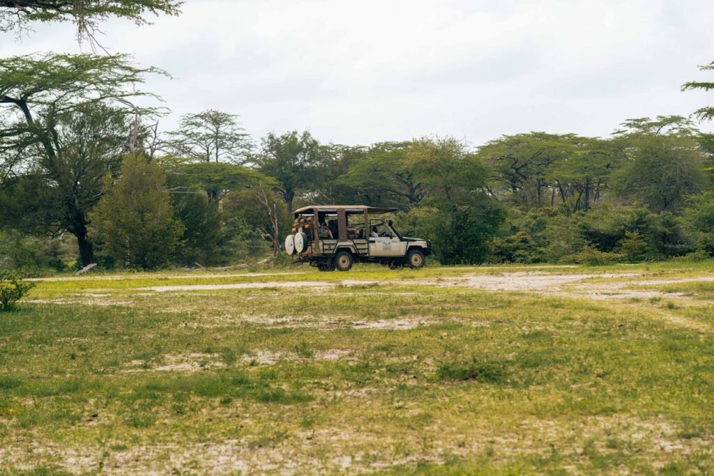 Safari vehicle exploring a lush, open landscape with acacia trees in the background.